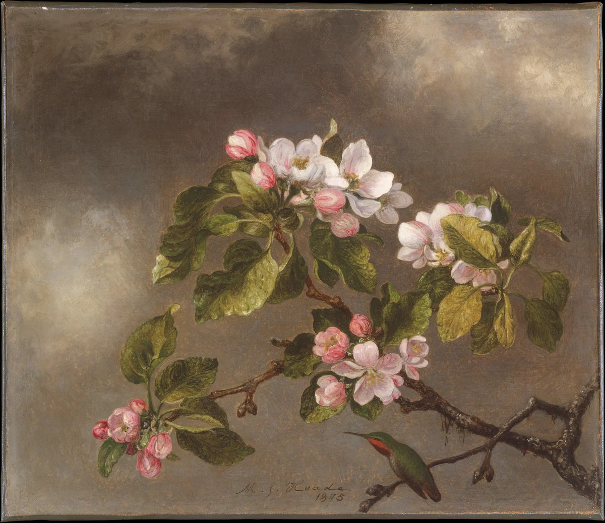 Hummingbird and Apple Blossoms by Martin Johnson Heade, artwork, 1875