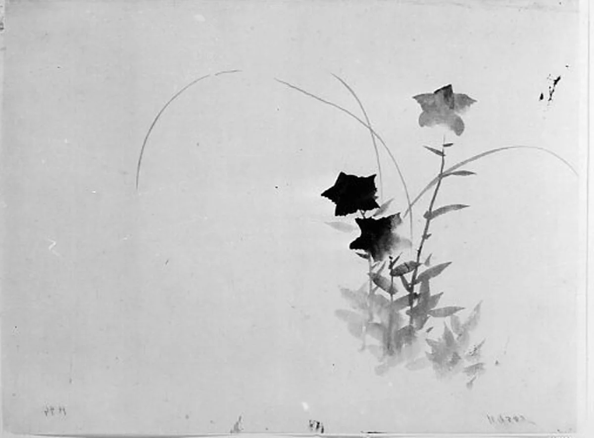 Bellflower by Hokusai School, painting, 1800-1868