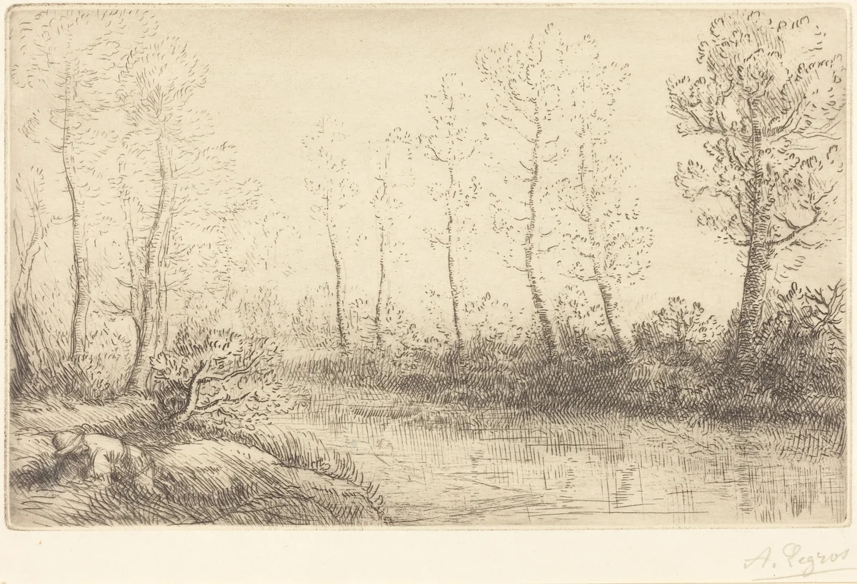 Birch Trees: Water's Edge Seen in Morning Light (Les Bouleaux: Bord de l'eau, effet du matin) by Alphonse Legros, print, 1837-1911