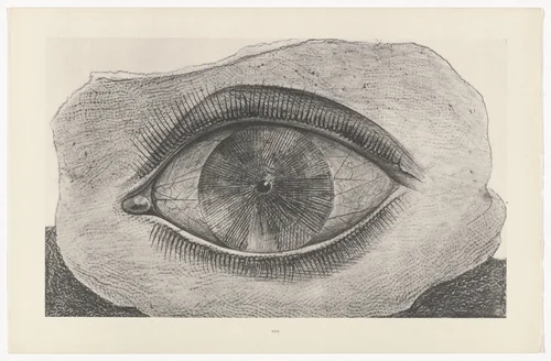 The Wheel of Light (La Roue de la lumière) from Natural History (Histoire naturelle) by Max Ernst, print, 1925