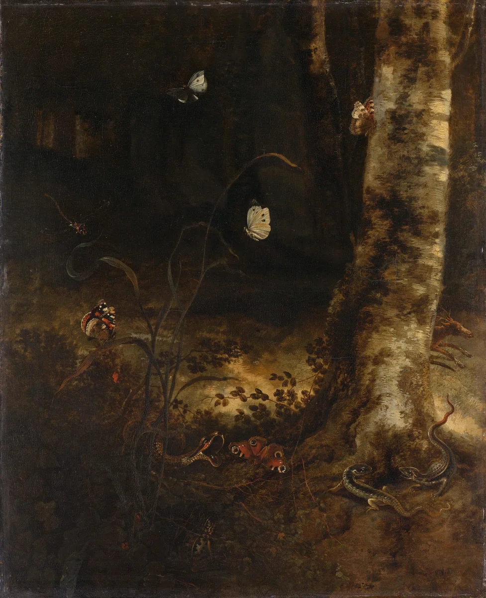 Forest Floor with a Snake, Lizards, Butterflies and other Insects by Otto Marseus van Schrieck, painting, 1650-1678