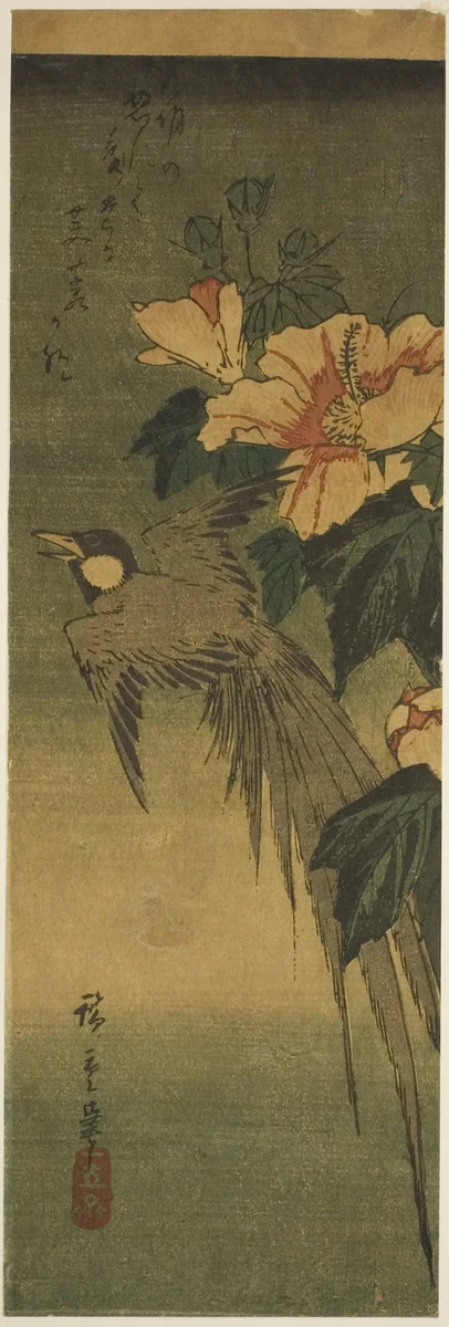 Long-tailed bird and hibiscus by Utagawa Hiroshige (歌川広重), print, 1830-1849