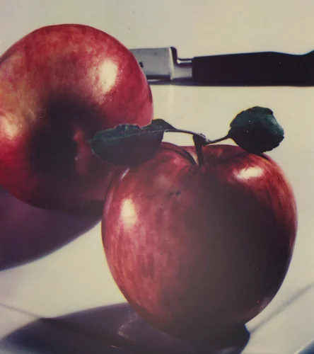 Untitled by Caroline Whiting Fellows, photograph, 1930-1939