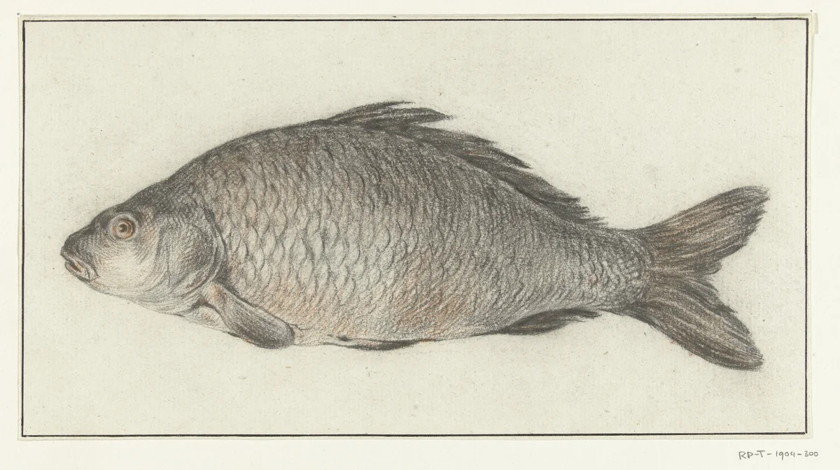 Vis by Jean Bernard, drawing, 1775-1833