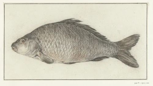 Vis by Jean Bernard, drawing, 1775-1833