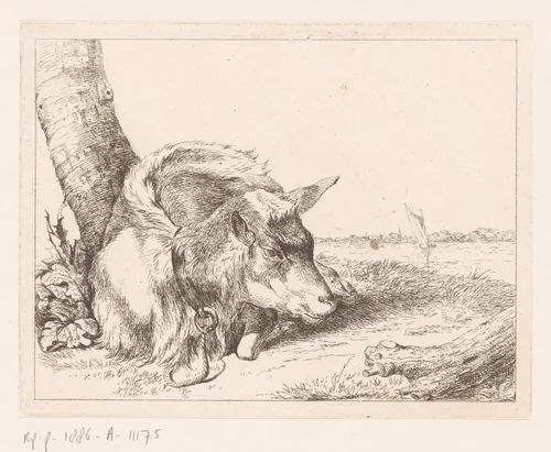 Liggende geit bij water by Hendrik Willem Schweickhardt, print, 1788