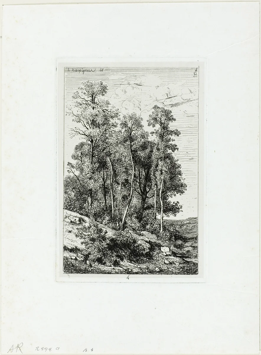 Birches and Oaks by Henri Joseph Harpignies, print, 1848