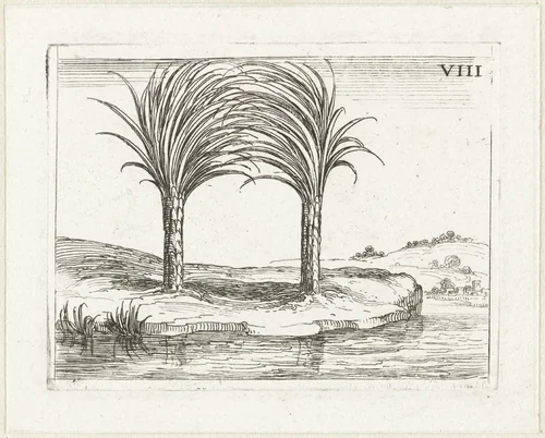 Twee palmbomen by Jacques Callot, print, 1625-1629