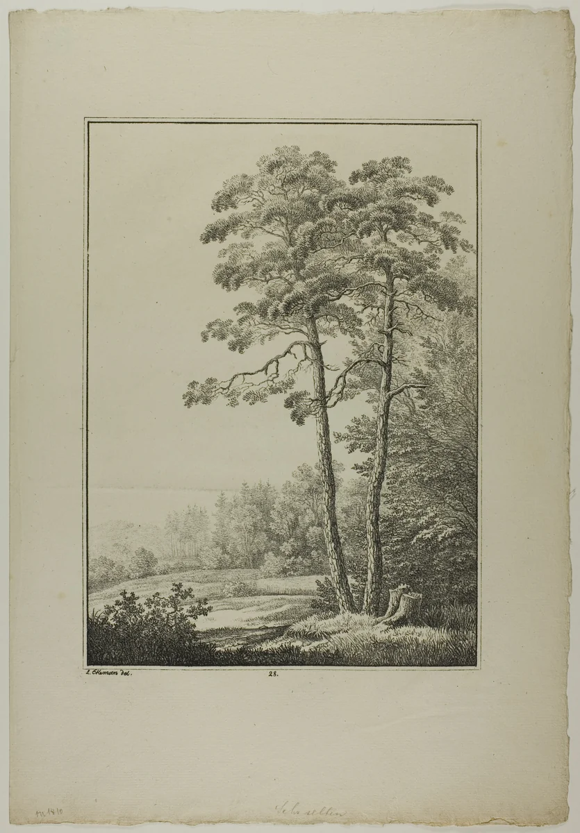 Plate 28 from Blatt Baum und Landschafts Studien by Lorenz Ekemann Alesson, print, 1805-1815