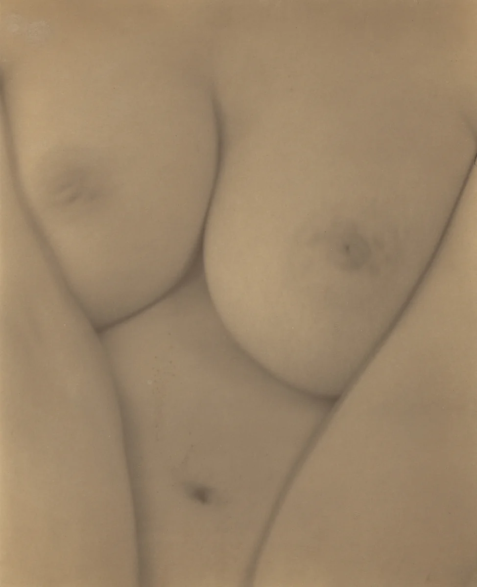 Georgia O'Keeffe—Breasts by Alfred Stieglitz, photograph, 1919