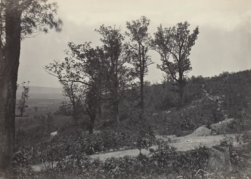 The Crest of Mission Ridge from the album Photographic Views of Sherman's Campaign by George N. Barnard, photograph, 1864