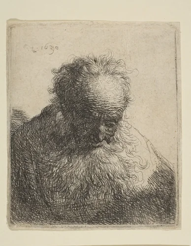 Bust of an Old Man with a Flowing Beard: the Head Bowed Forward: Left Shoulder Unshaded by Rembrandt van Rijn, print, 1630
