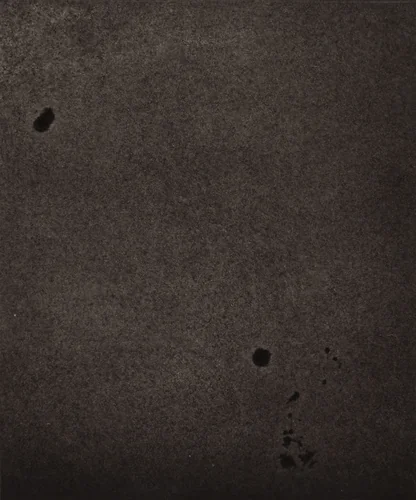 Région Centrale (Taches et Granulations), March 15, 1884, 9h 32m 16s by Jules Janssen, photograph, 1877