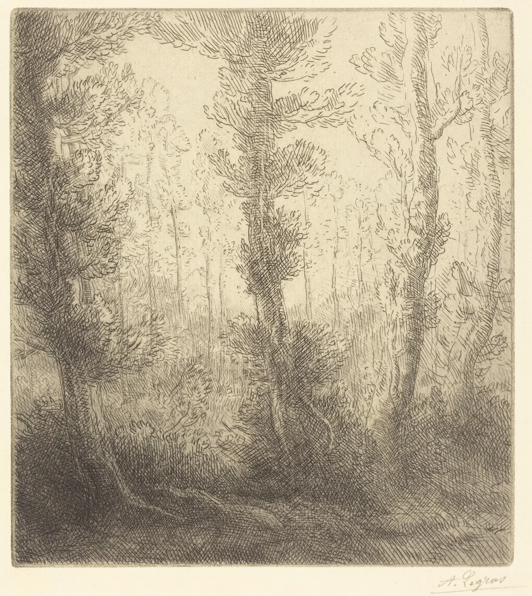 Small Lake (Le petit lac) by Alphonse Legros, print, 1837-1911