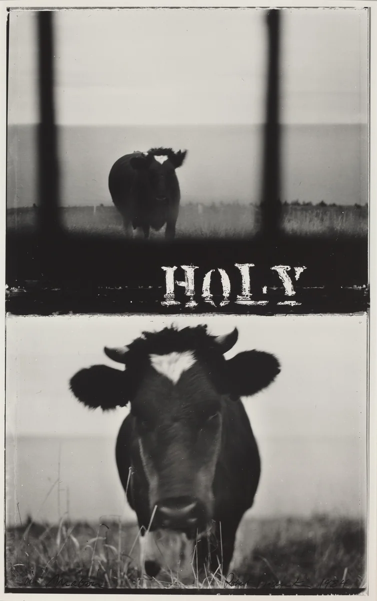 Holy Cow by Robert Frank, photograph, 1984