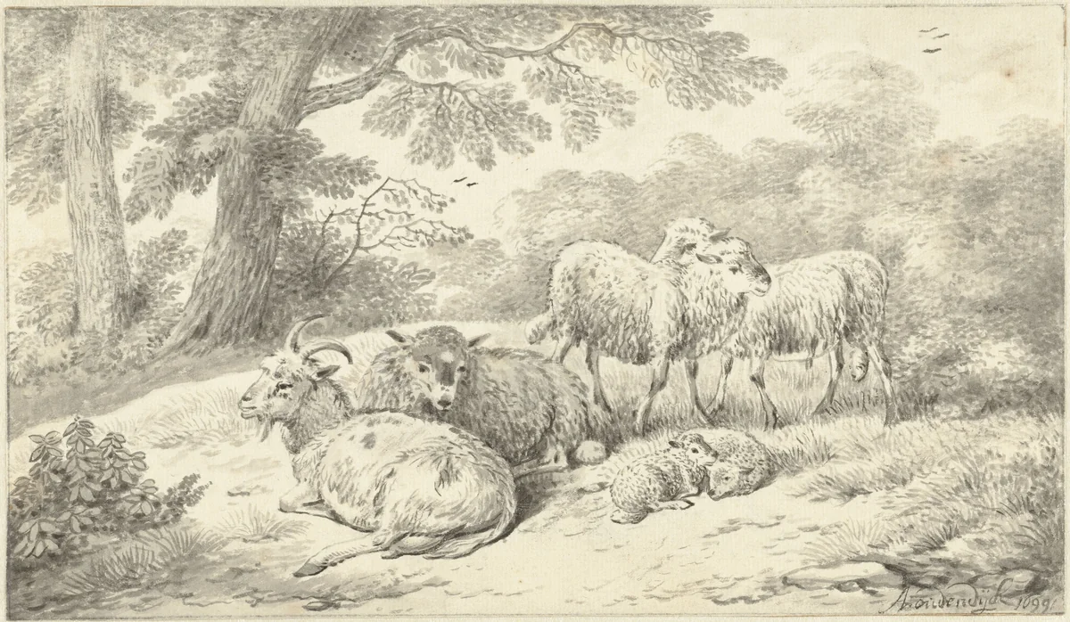 Drie schapen, twee lammeren en een geit in een bosachtig landschap by Adriaen Oudendijck, drawing, 1699