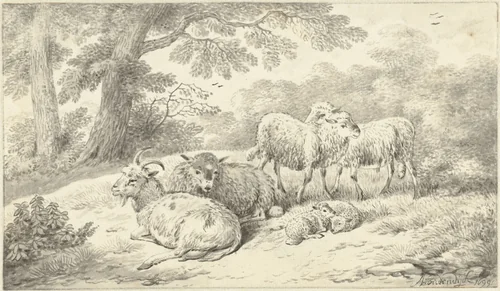 Drie schapen, twee lammeren en een geit in een bosachtig landschap by Adriaen Oudendijck, drawing, 1699