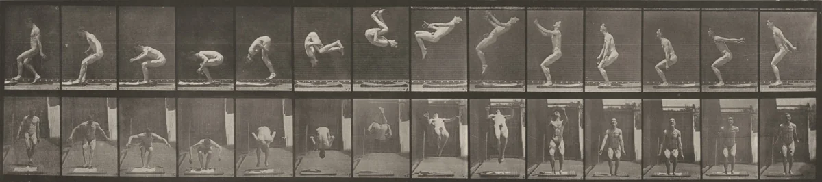 Plate Number 362. Back somersault by Eadweard Muybridge, photograph, 1887