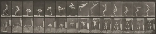 Plate Number 362. Back somersault by Eadweard Muybridge, photograph, 1887