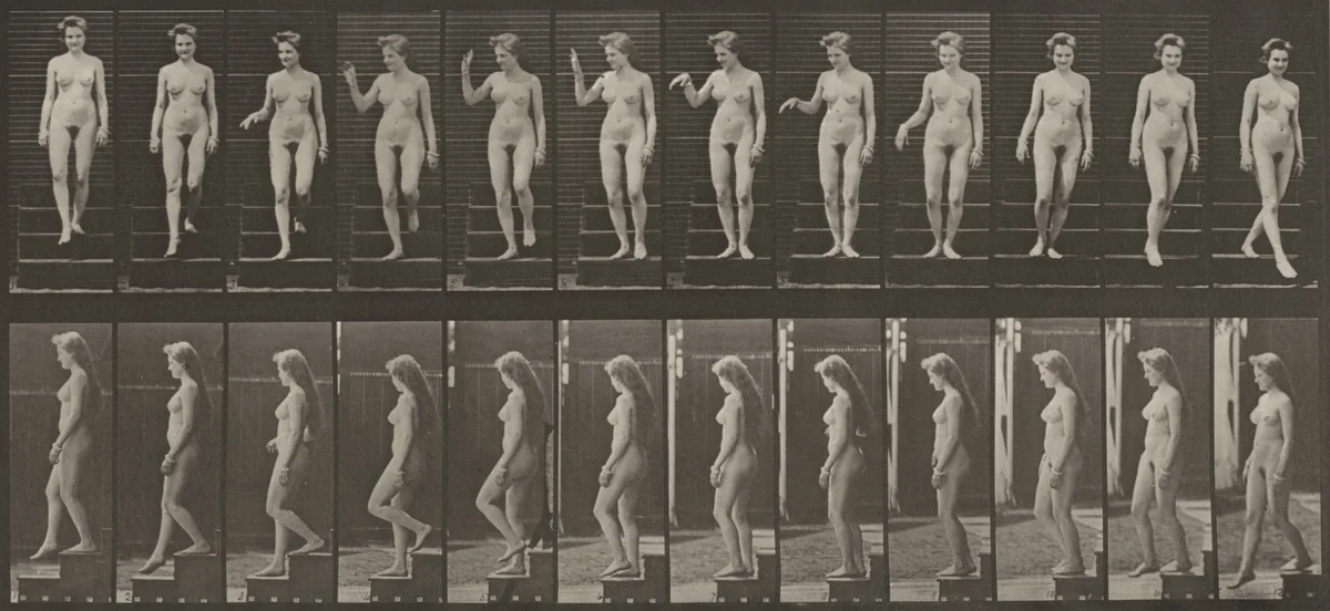 Plate Number 131. Descending stairs, waving hand by Eadweard Muybridge, photograph, 1887