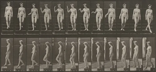 Plate Number 131. Descending stairs, waving hand by Eadweard Muybridge, photograph, 1887