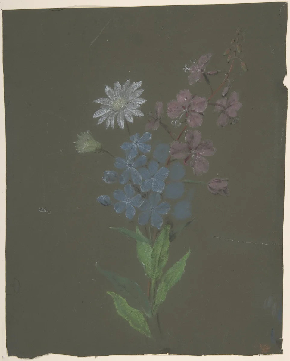 Floral Design by Antoine Berjon, drawing, 1770-1843