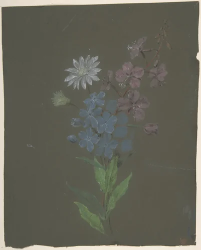 Floral Design by Antoine Berjon, drawing, 1770-1843