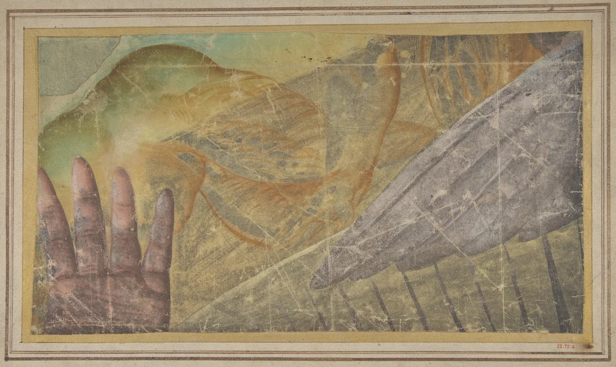 Fragment of a Tapestry Cartoon: Outstretched Hand, Body of a Seraph, and a Wing by Raphael, drawing, 1500-1550