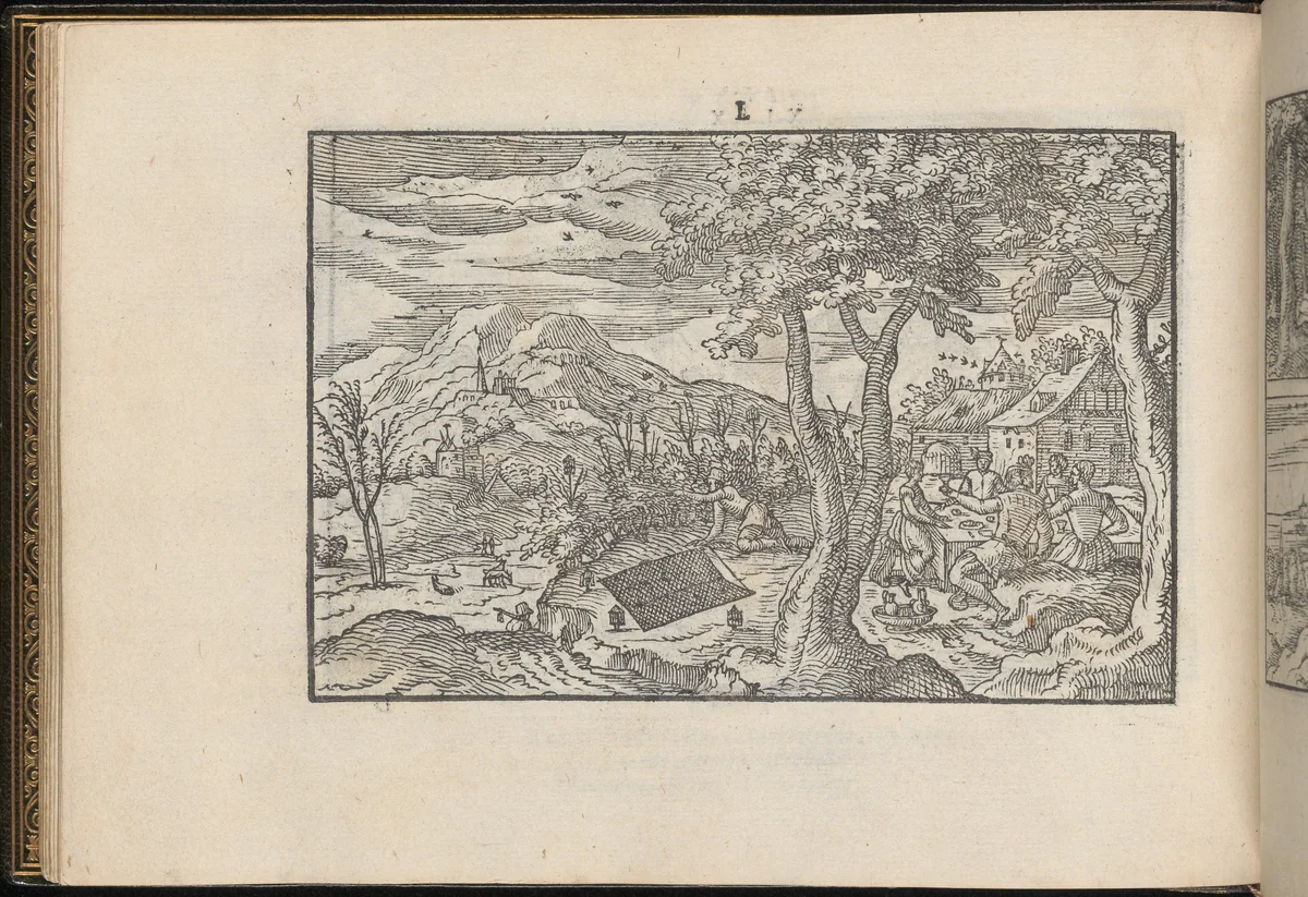 La Vera Perfettione del Disegno di varie sorti di recami, page 25 (verso) by Giovanni Ostaus, book, 1567