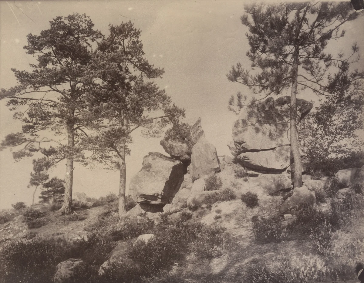 Fontainebleau, rochers by Eugène Atget, photograph