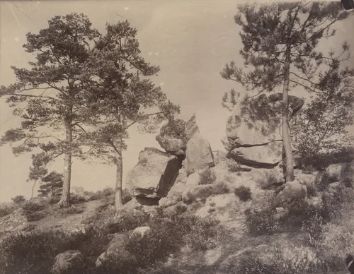 Fontainebleau, rochers by Eugène Atget, photograph