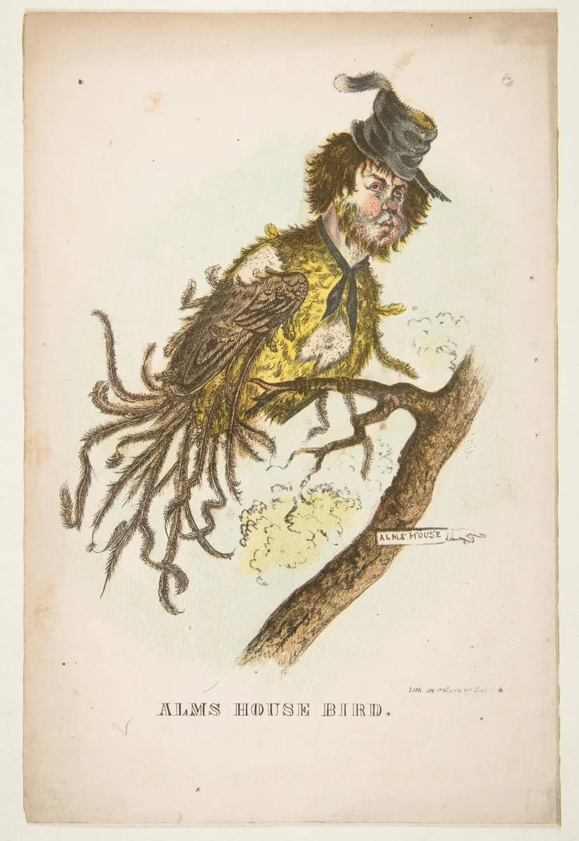 Alms House Bird, from "The Comic Natural History of the Human Race" by Henry Louis Stephens, print, 1851