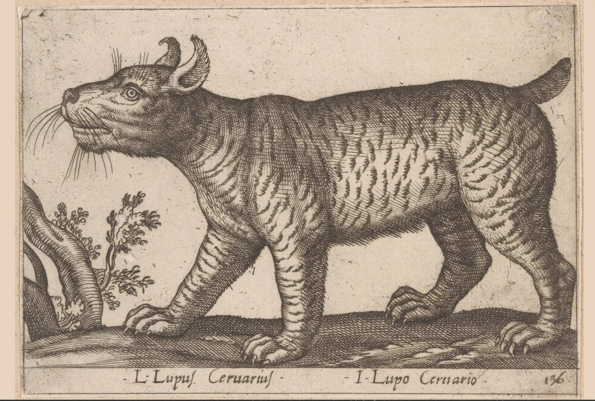 Wolfachtige by Antonio Tempesta, print, 1565-1630