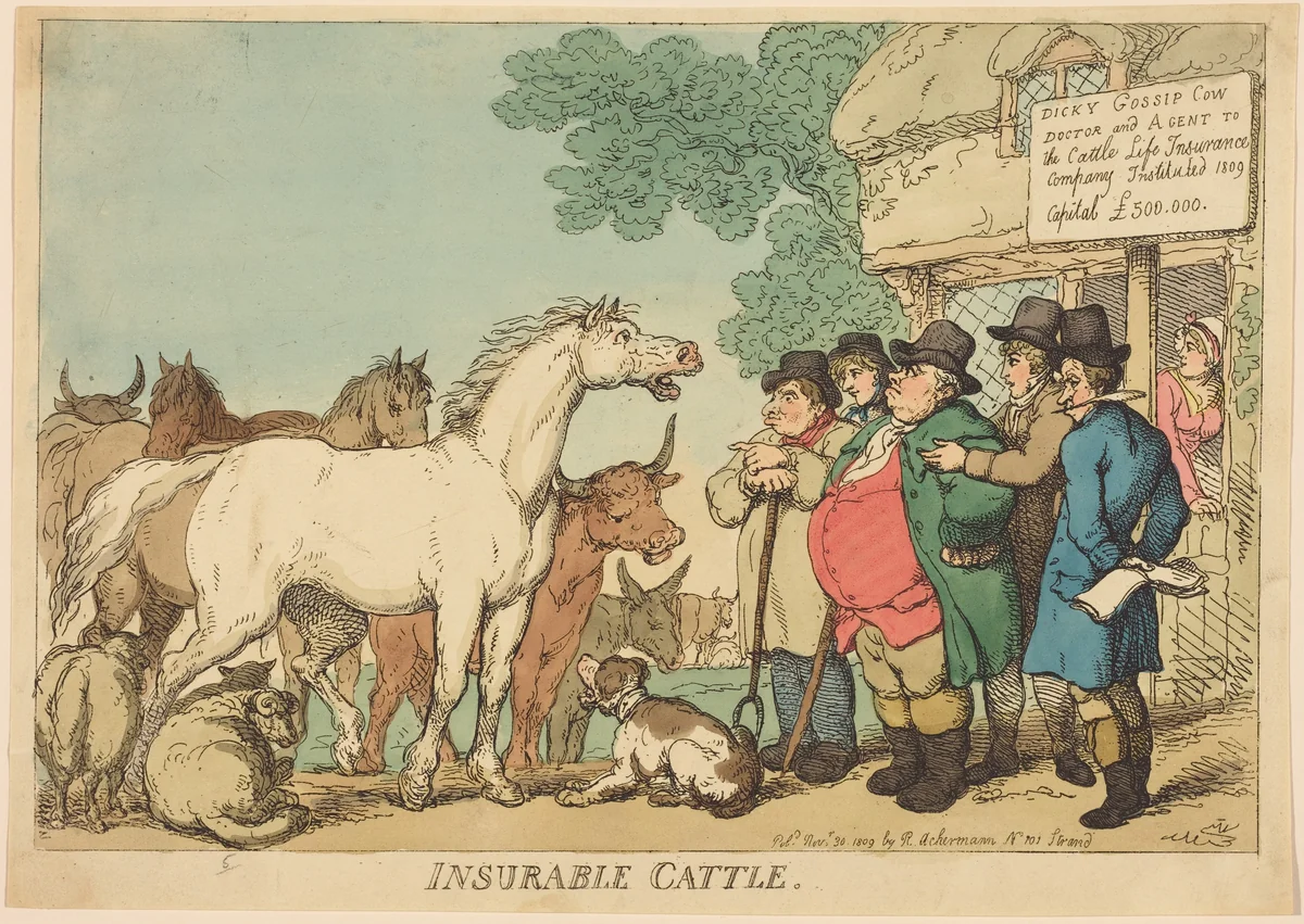 Insurable Cattle by Thomas Rowlandson, print, 1809