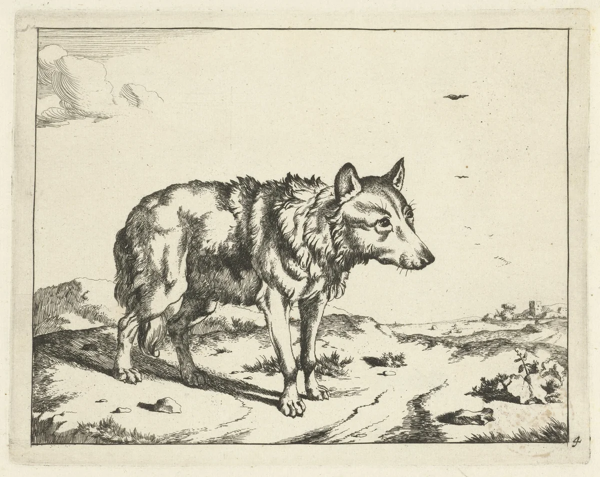 Staande wolf, en profil by Marcus de Bye, print, 1657-1677