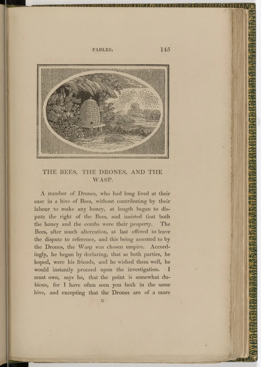 Headpiece (page 145) from The Fables of Aesop by Thomas Bewick, illustrated book, 1818