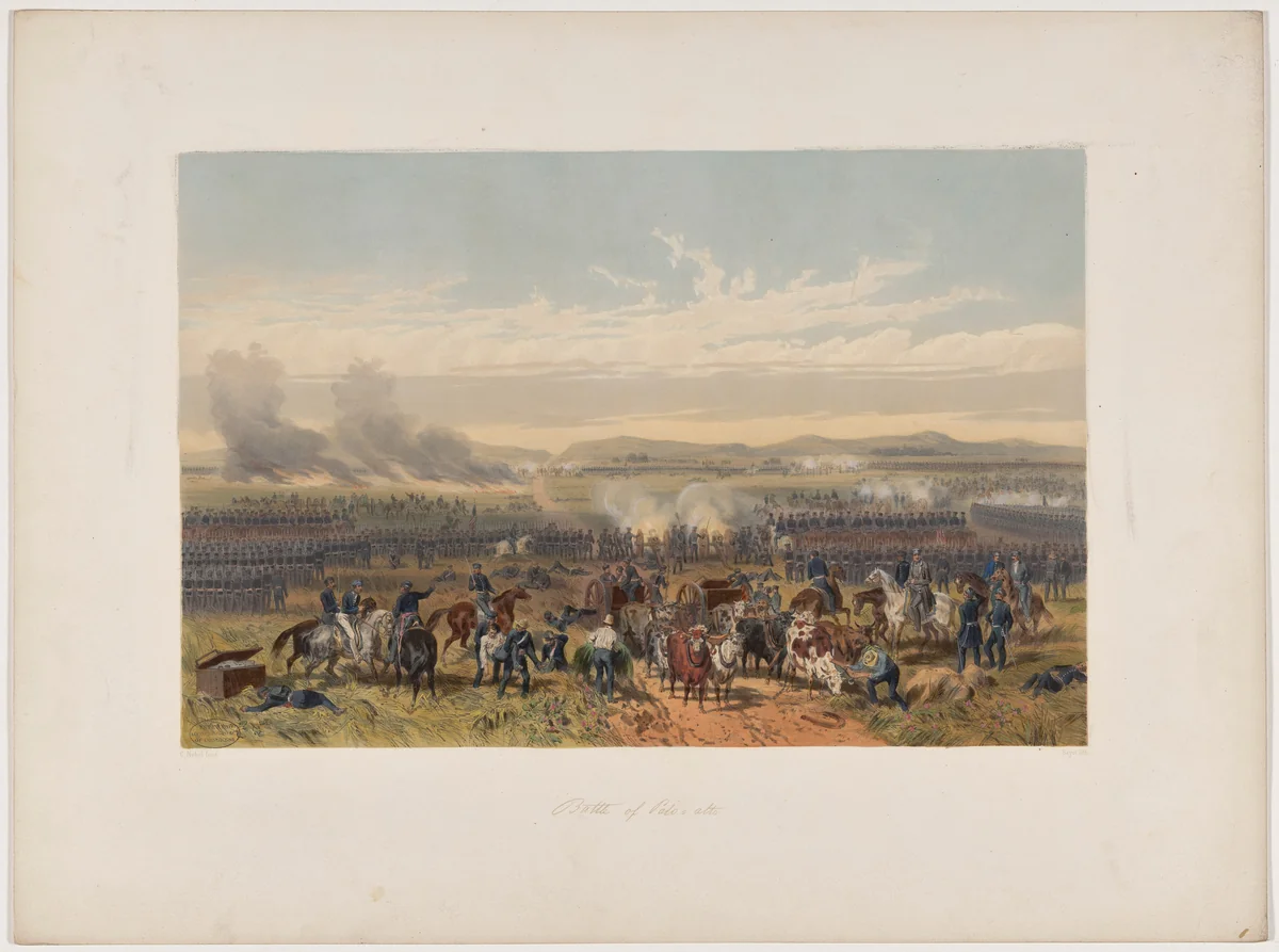 Battle of Palo Alto by Adolphe-Jean-Baptiste Bayot, portfolio, 1851