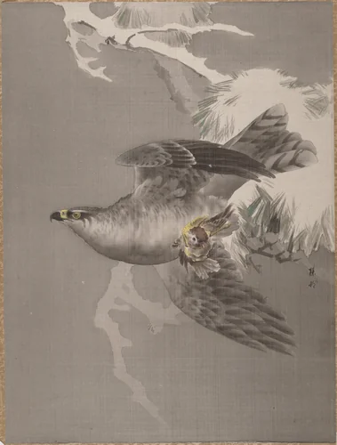 Hawk Holding a Small Bird by Okada Baison, painting, 1891-1892