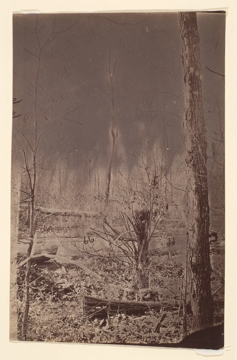 [The Wilderness Battlefield] by G. O. Brown, photograph, 1864