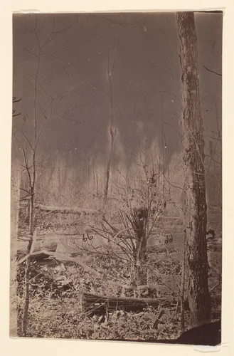 [The Wilderness Battlefield] by G. O. Brown, photograph, 1864