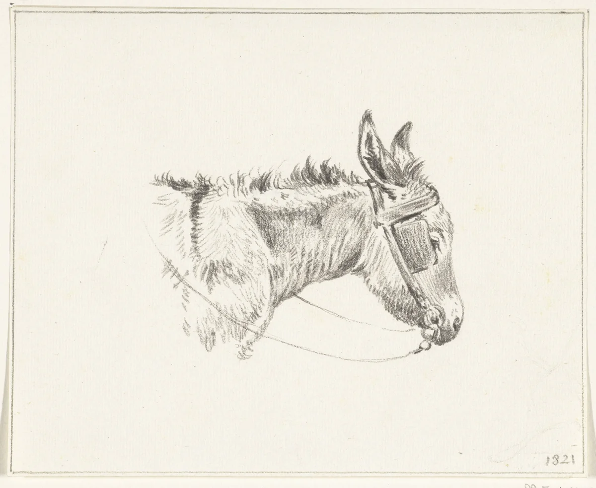 Kop van een ezel, naar rechts by Jean Bernard, drawing, 1821