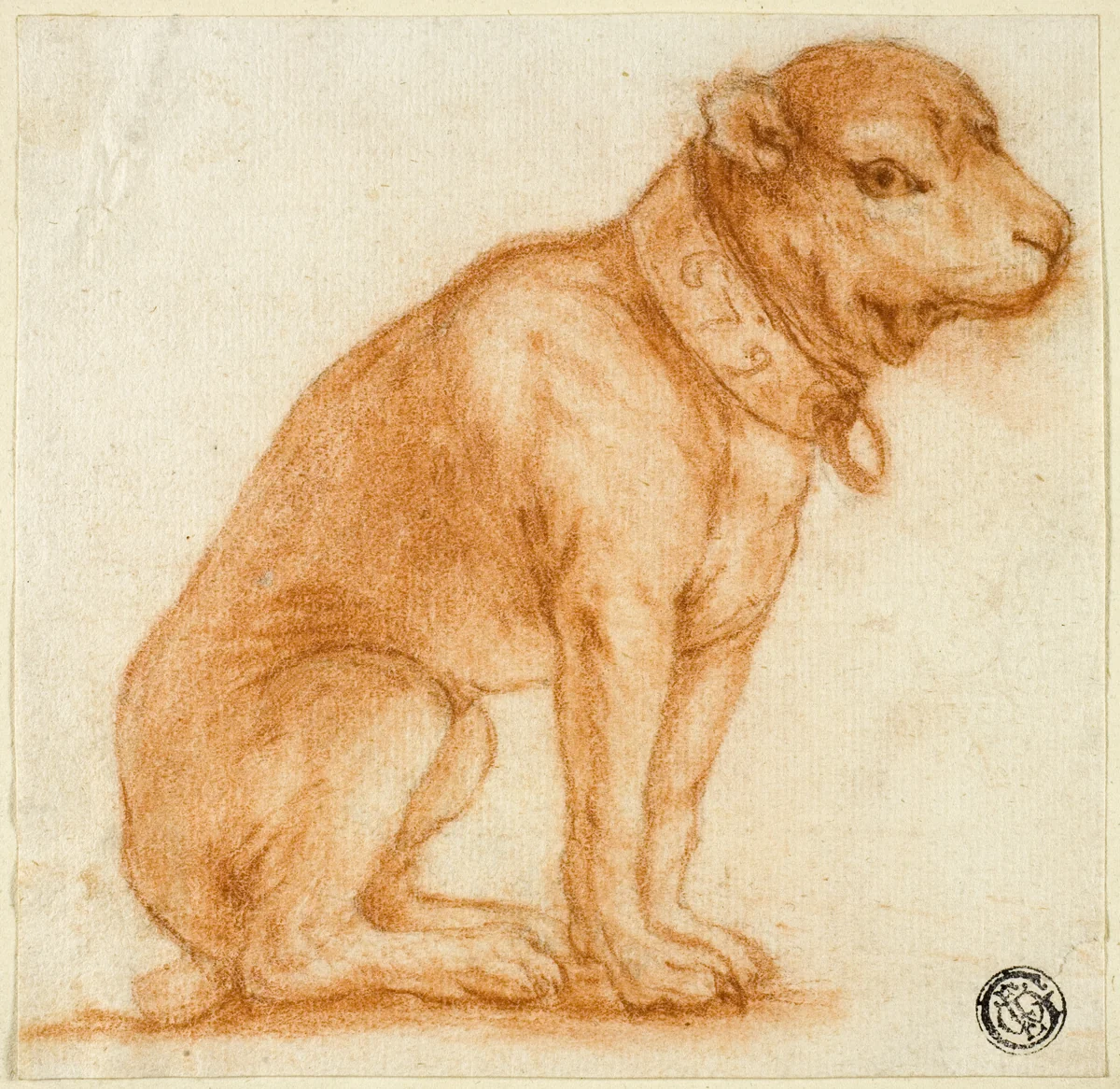 Seated Dog with Collar by Dirk Valkenburg, drawing, 1695-1721