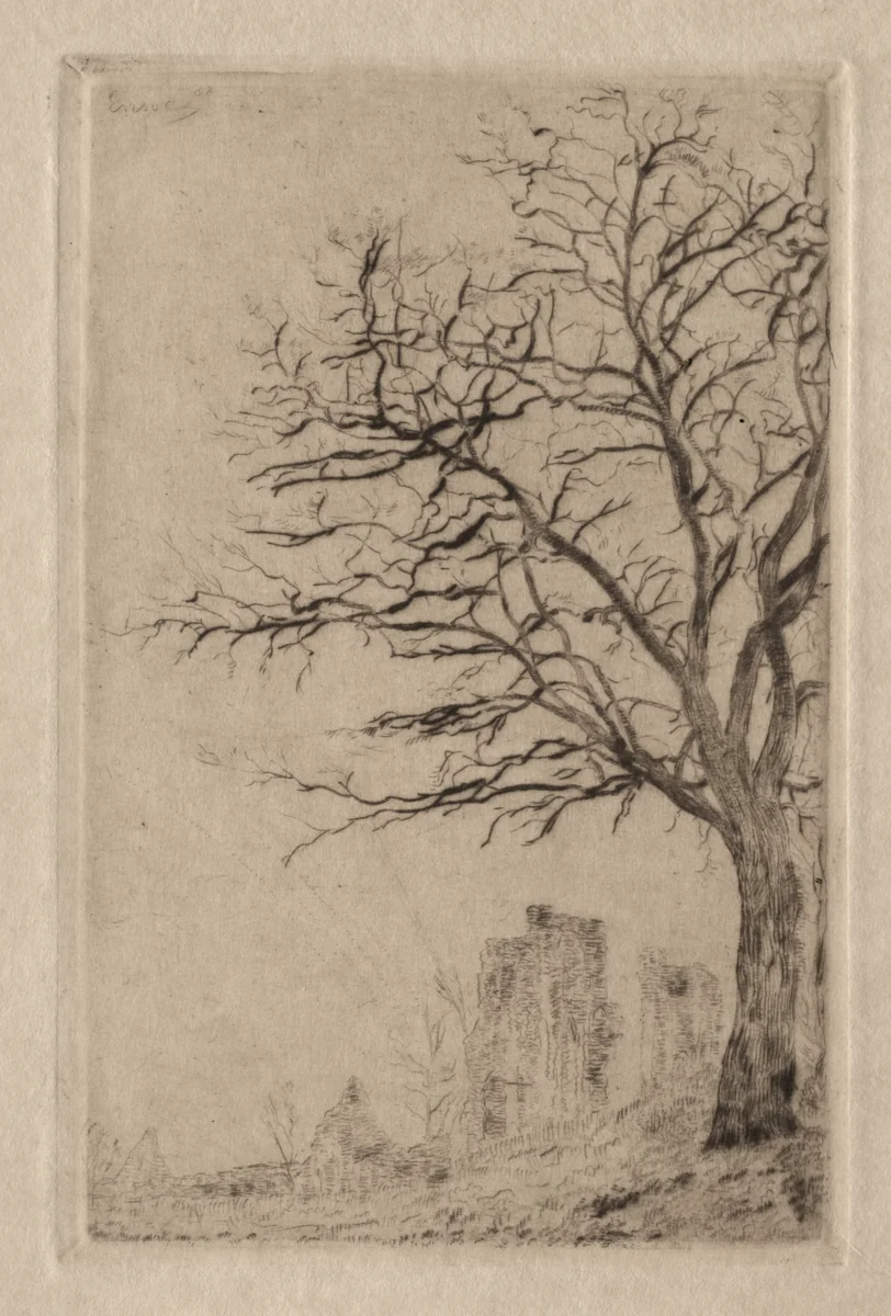 Acacia by James Ensor, print, 1888