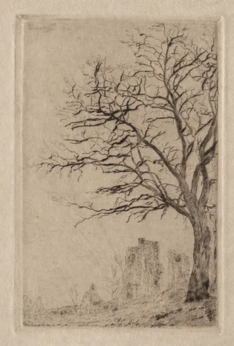 Acacia by James Ensor, print, 1888
