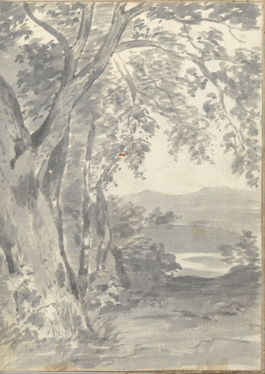 Landscape with trees and distant hills (Smaller Italian sketchbook, leaf 37 recto) by Joseph Wright, drawing, 1774-1775