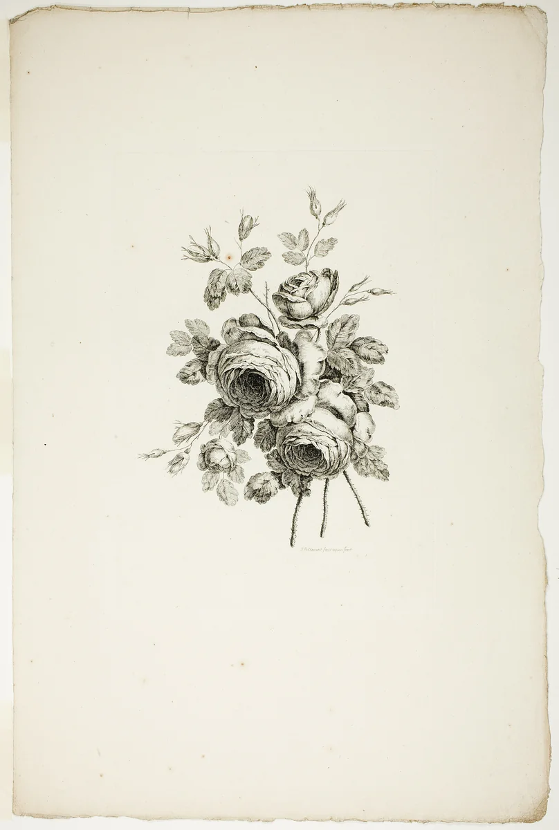 Bouquet with Roses, from Collection of Different Bouquets of Flowers, Invented and Drawn by Jean Pillement and Engraved by P. C. Canot by Pierre-Charles Canot, print, 1760