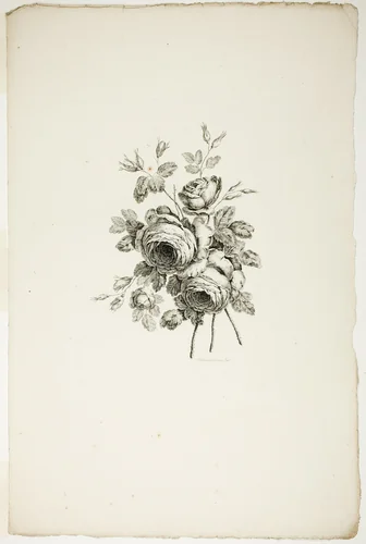 Bouquet with Roses, from Collection of Different Bouquets of Flowers, Invented and Drawn by Jean Pillement and Engraved by P. C. Canot by Pierre-Charles Canot, print, 1760