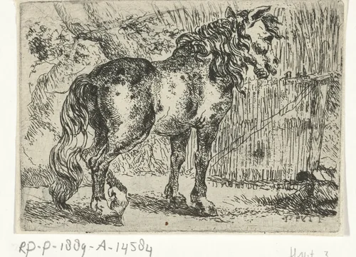 Paard by Joannes Fijt, print, 1621-1661