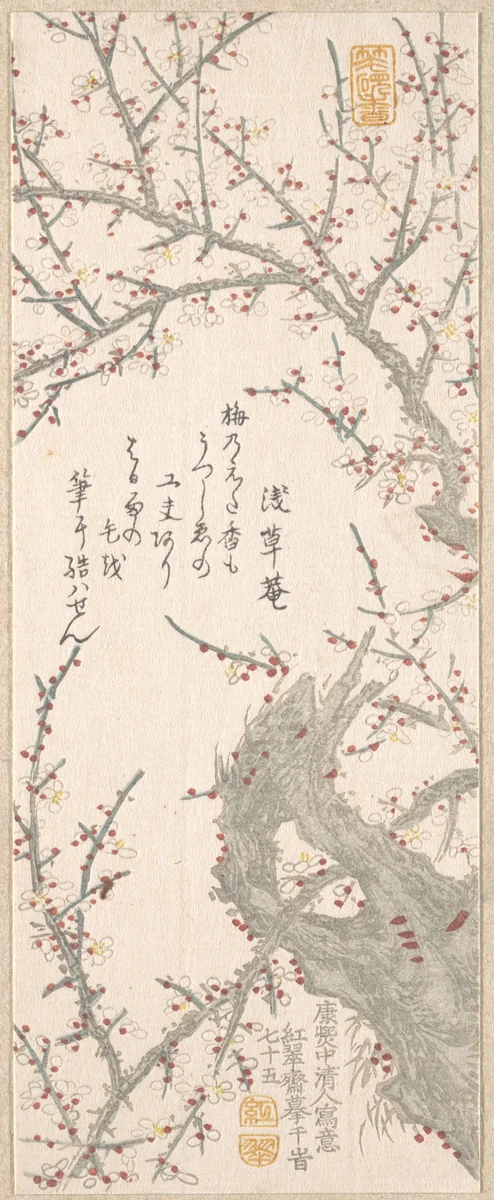Plum Tree in Blossom by Kitao Shigemasa (北尾重政), print, 1813
