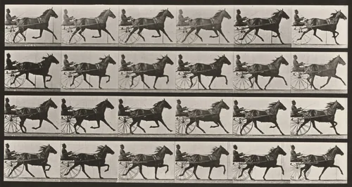 Plate Number 609. "Lizzie M." trotting, harnessed to sulky by Eadweard Muybridge, photograph, 1887